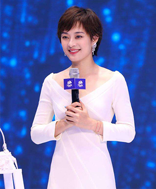 孫儷