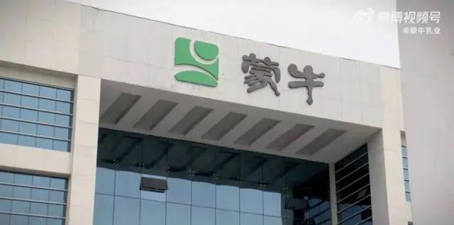 賈玲廣告代言
