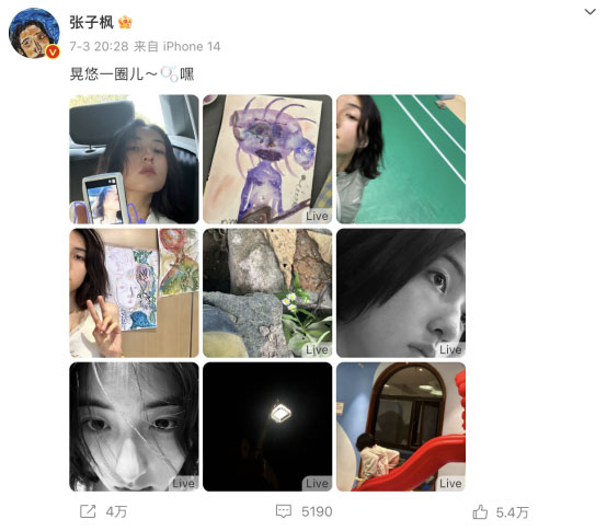 張子楓品牌代言