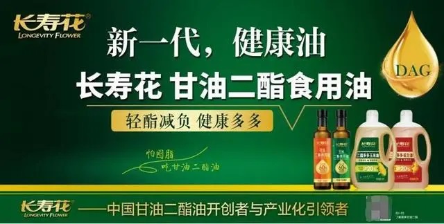 高圓圓形象代言